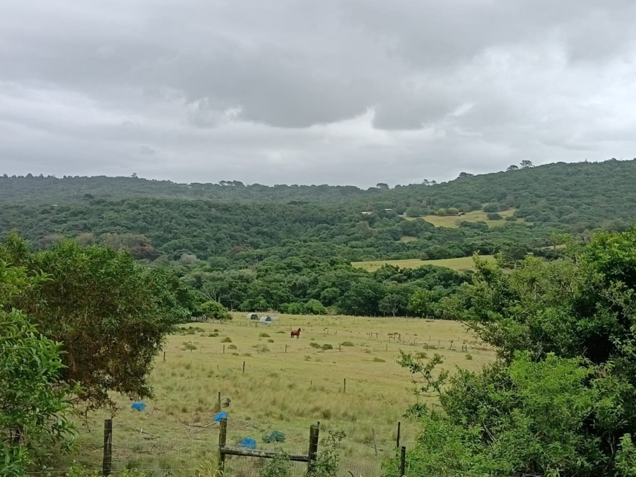 Commercial Property for Sale in Colleen Glen Eastern Cape